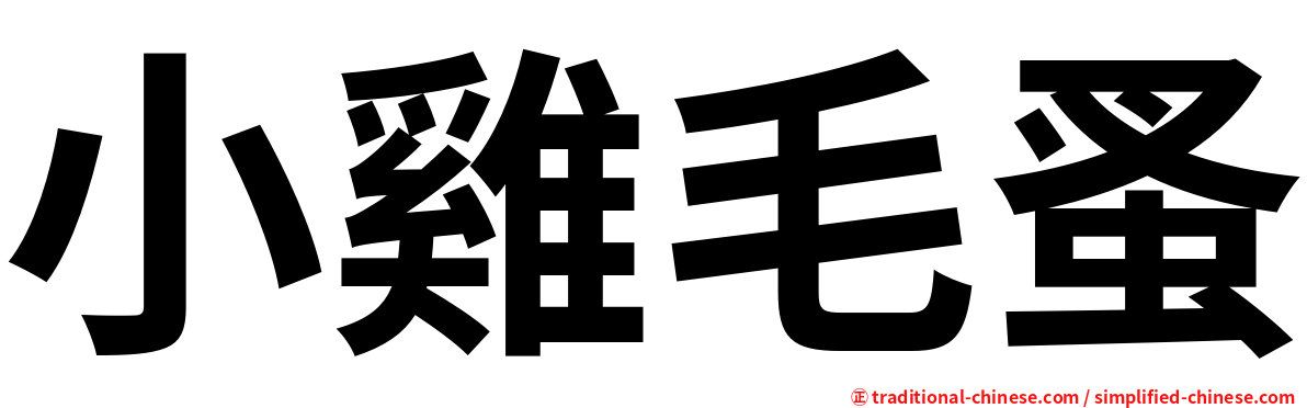 小雞毛蚤