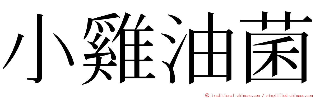 小雞油菌 ming font