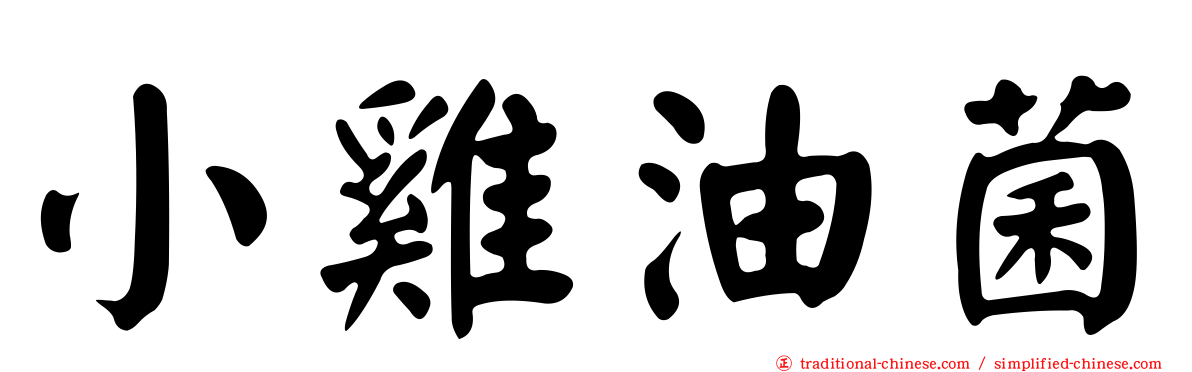 小雞油菌