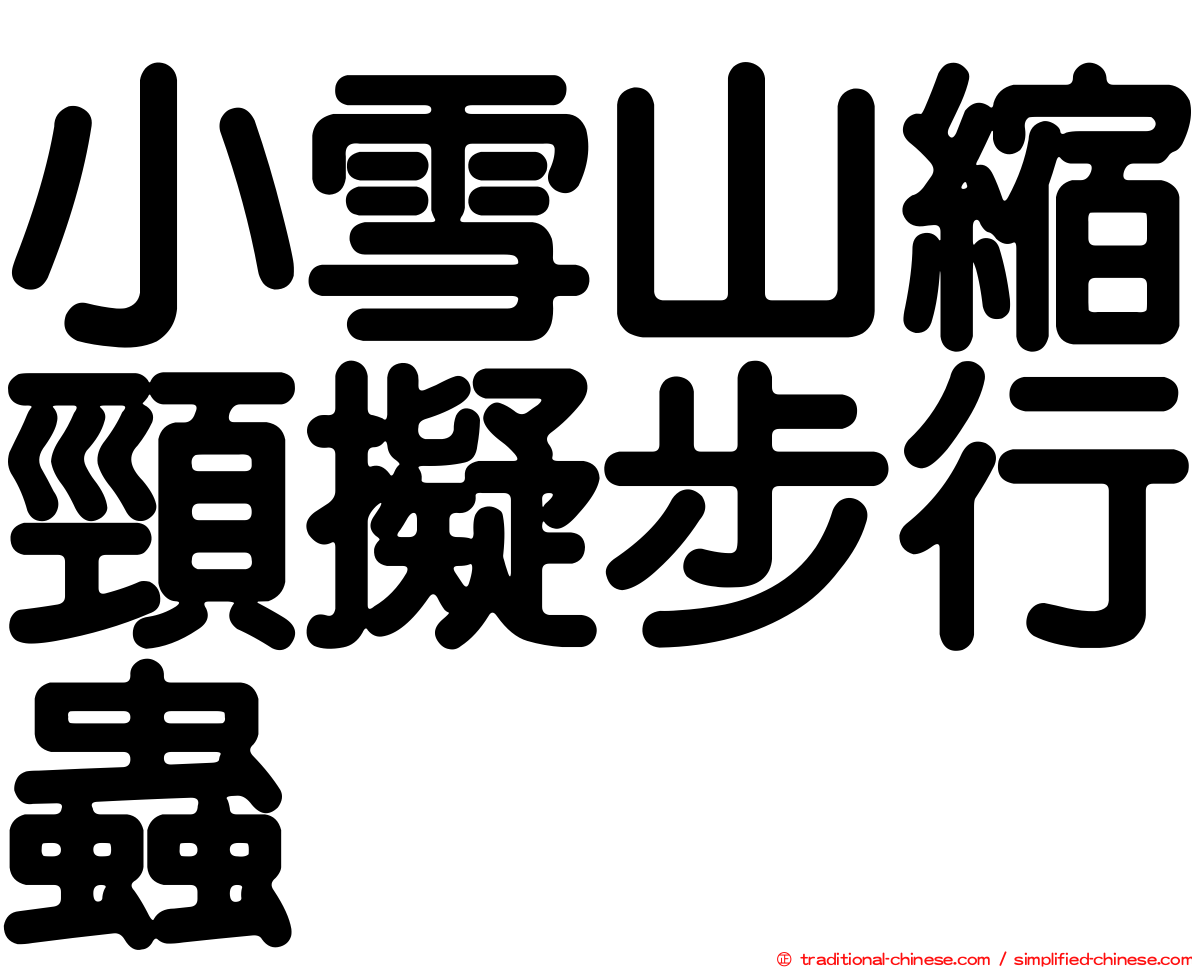 小雪山縮頸擬步行蟲