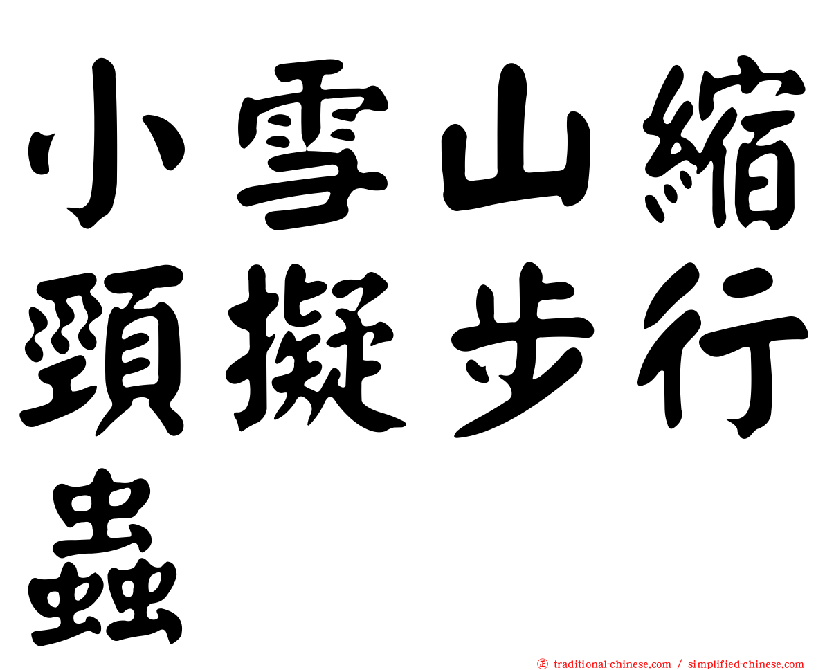 小雪山縮頸擬步行蟲