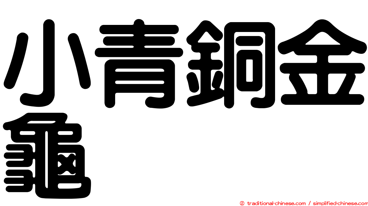 小青銅金龜