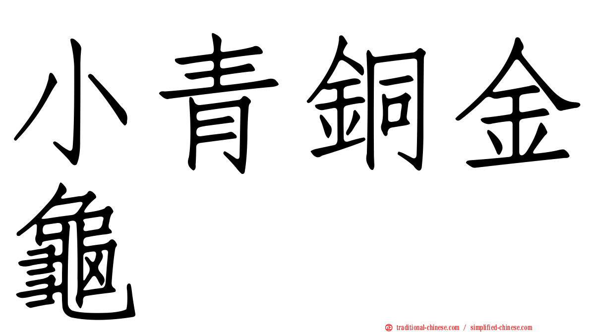 小青銅金龜