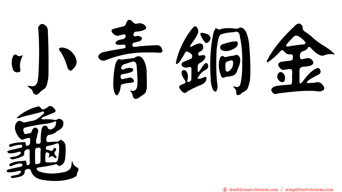 小青銅金龜
