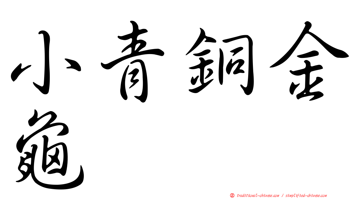 小青銅金龜