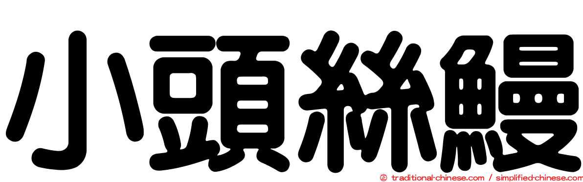 小頭絲鰻