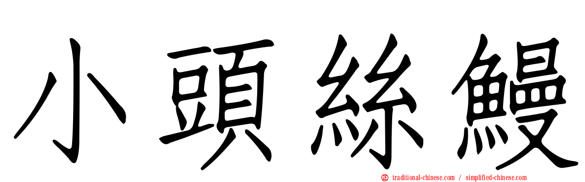 小頭絲鰻