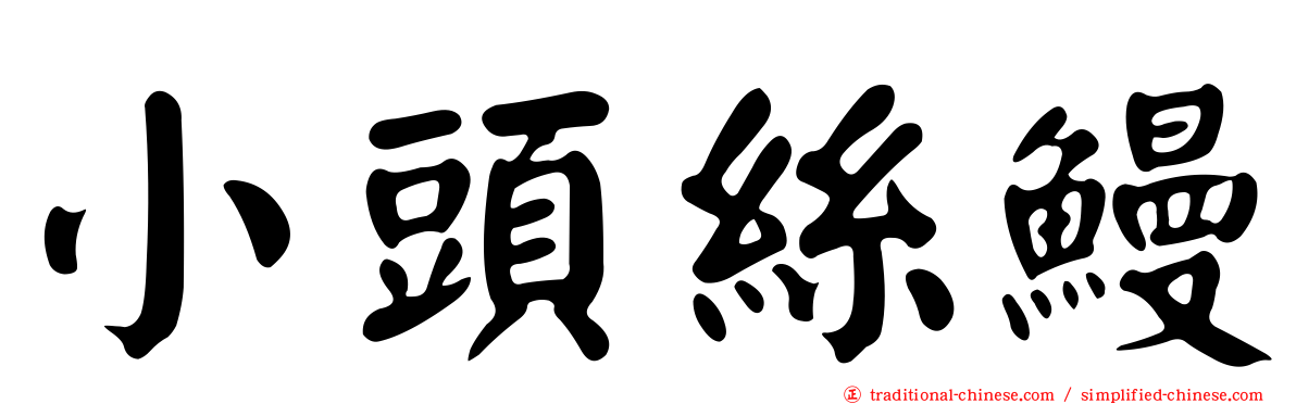 小頭絲鰻