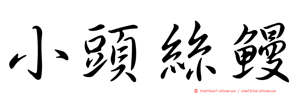 小頭絲鰻