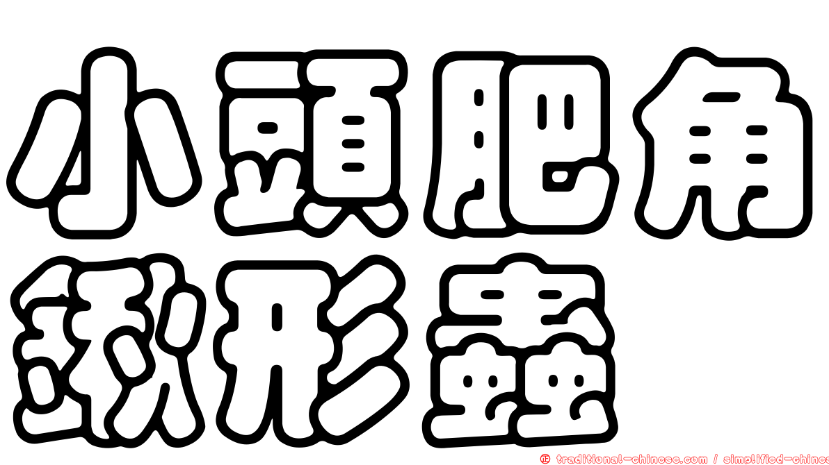 小頭肥角鍬形蟲