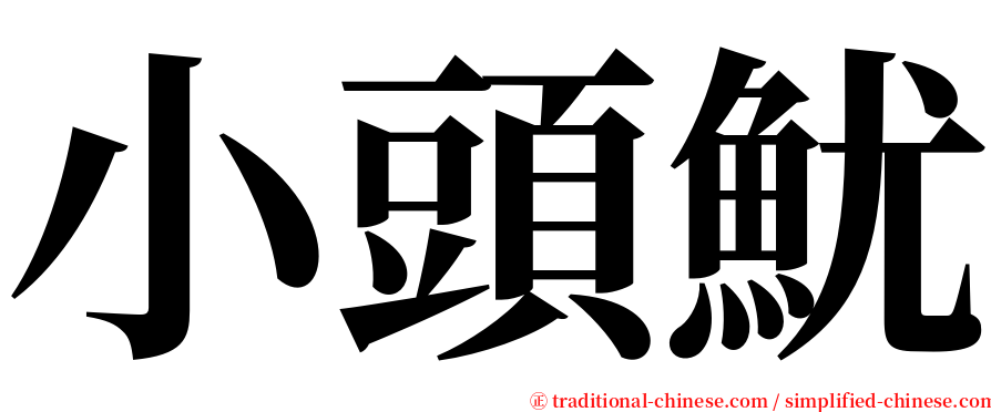小頭魷 serif font