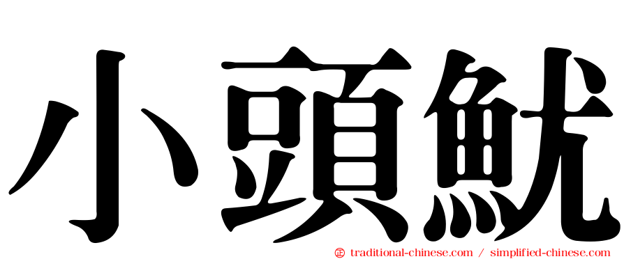 小頭魷