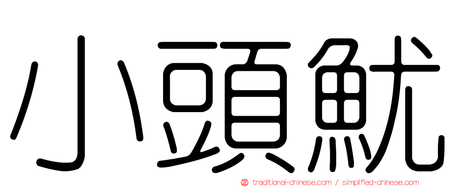 小頭魷