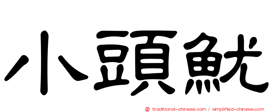 小頭魷