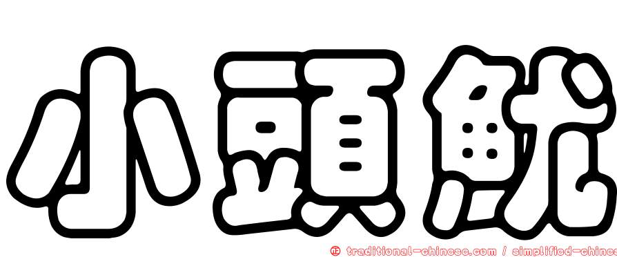 小頭魷