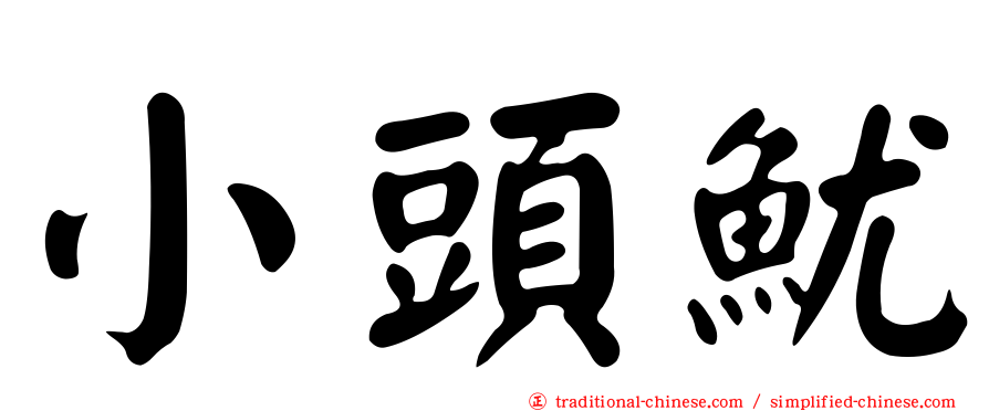 小頭魷