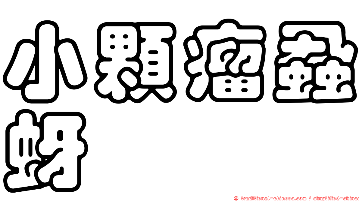 小顆瘤蝨蚜