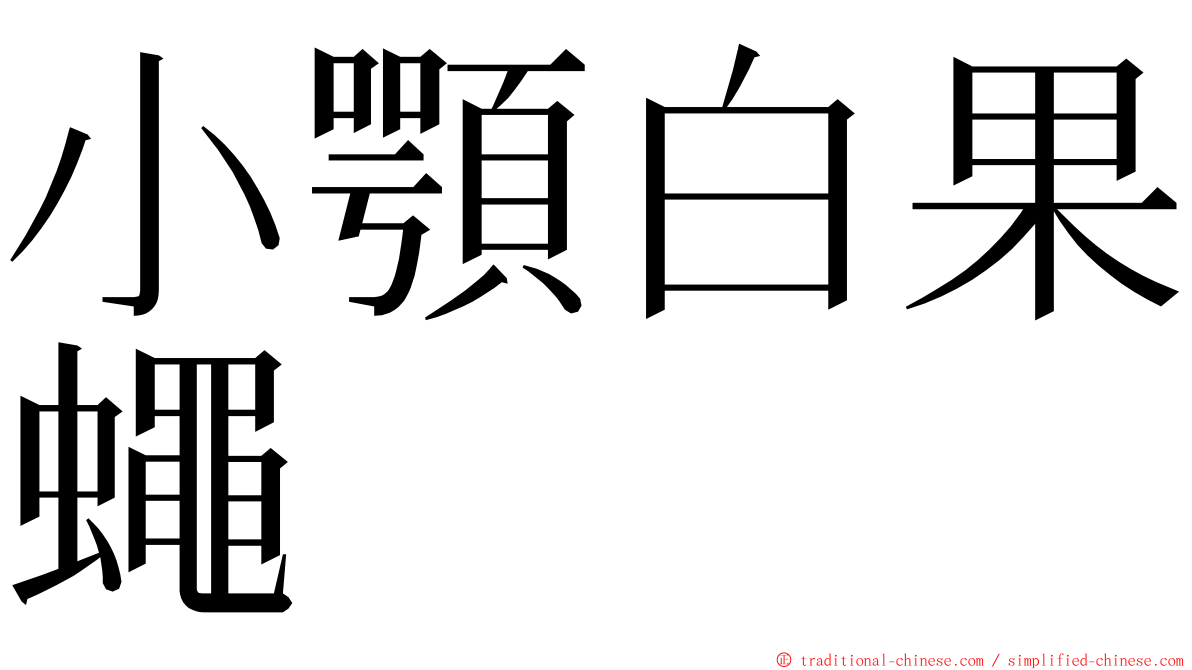 小顎白果蠅 ming font