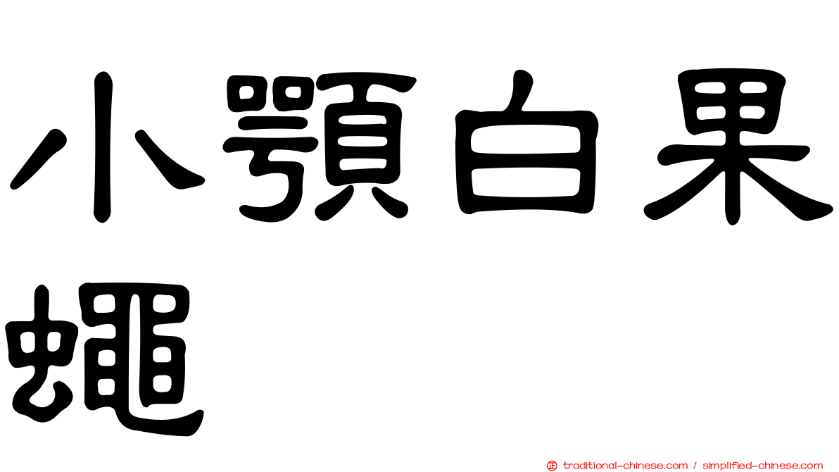 小顎白果蠅