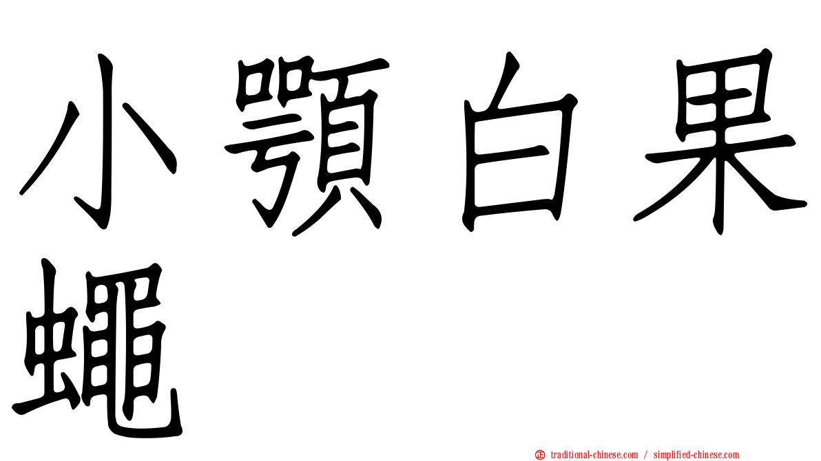 小顎白果蠅