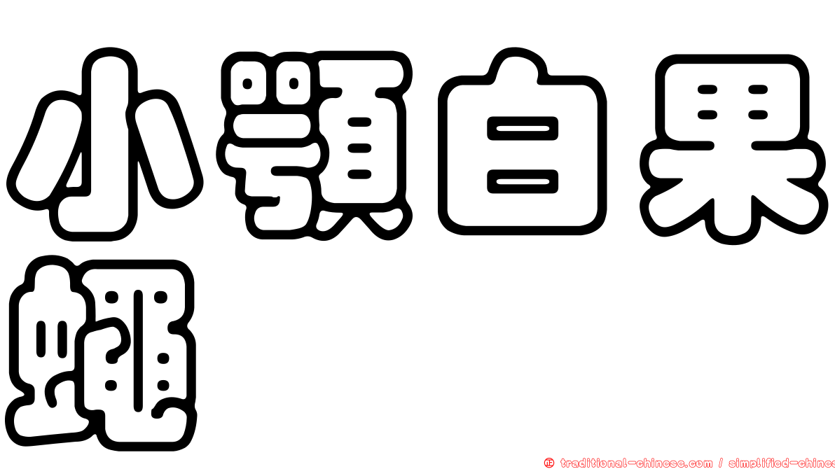 小顎白果蠅
