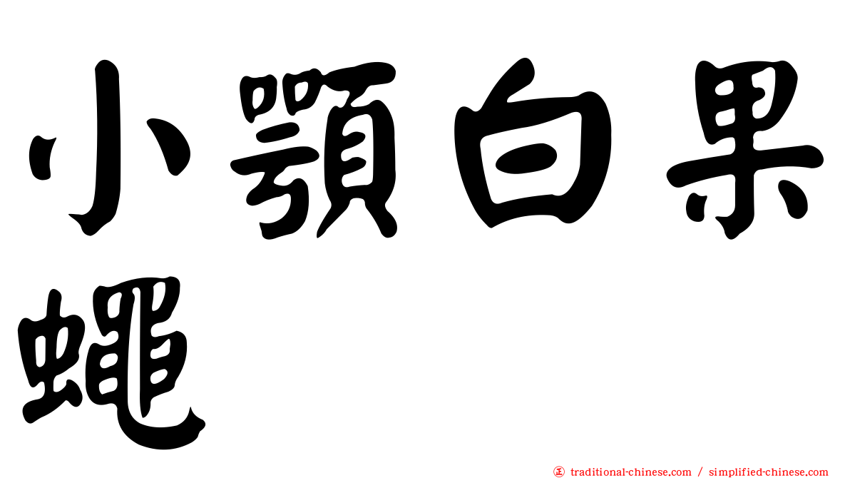 小顎白果蠅