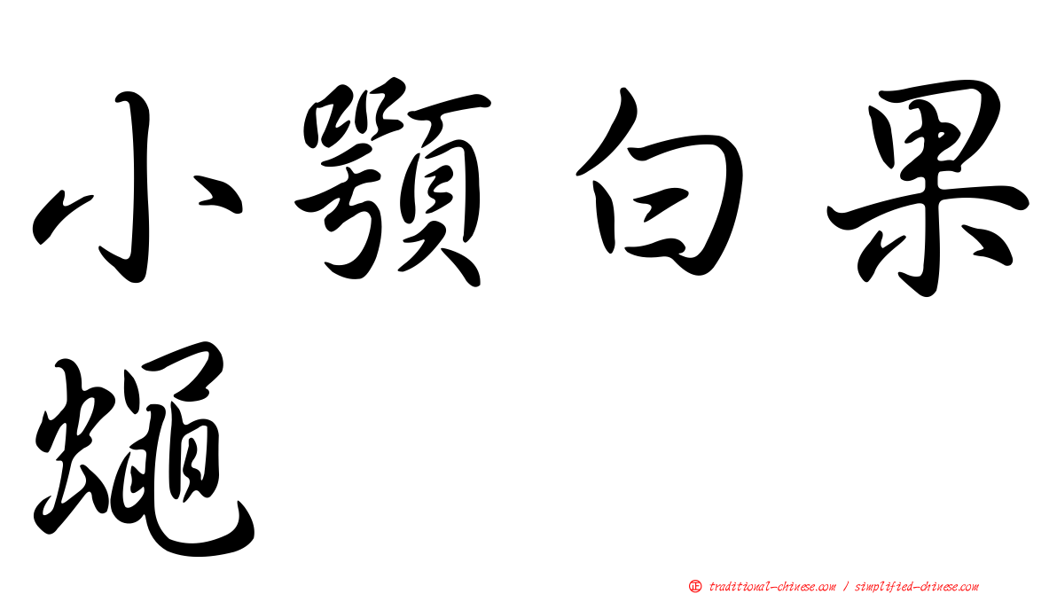 小顎白果蠅