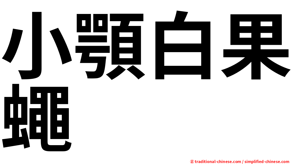 小顎白果蠅