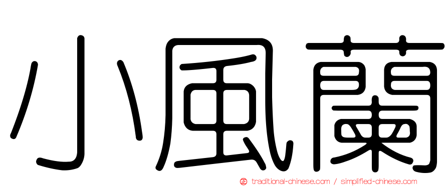 小風蘭