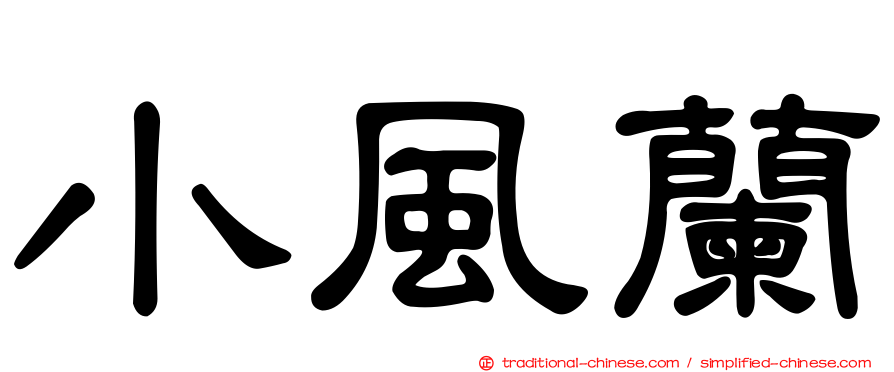 小風蘭