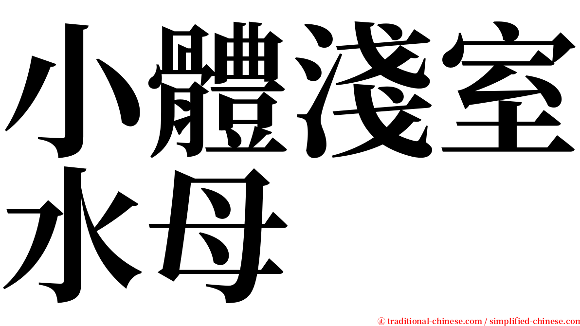小體淺室水母 serif font