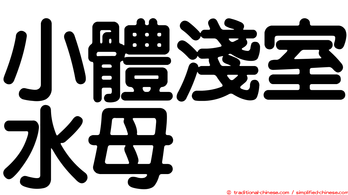 小體淺室水母