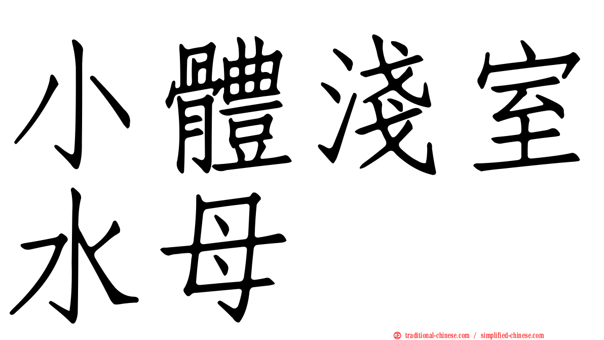 小體淺室水母