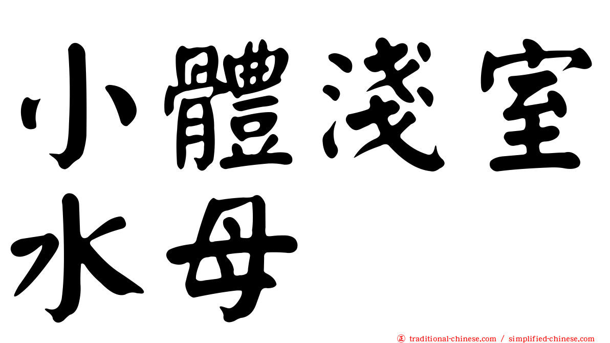 小體淺室水母