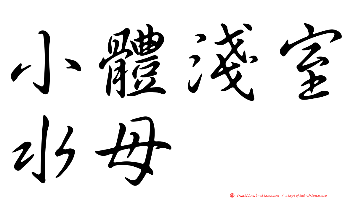 小體淺室水母