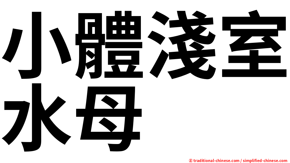 小體淺室水母