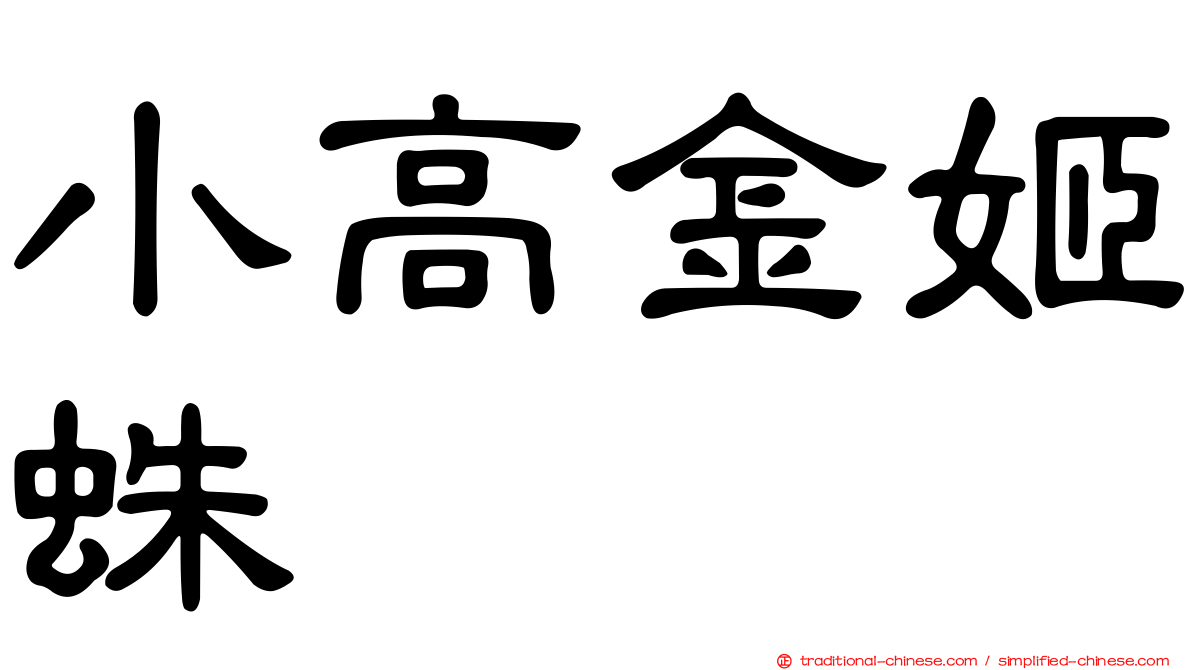 小高金姬蛛
