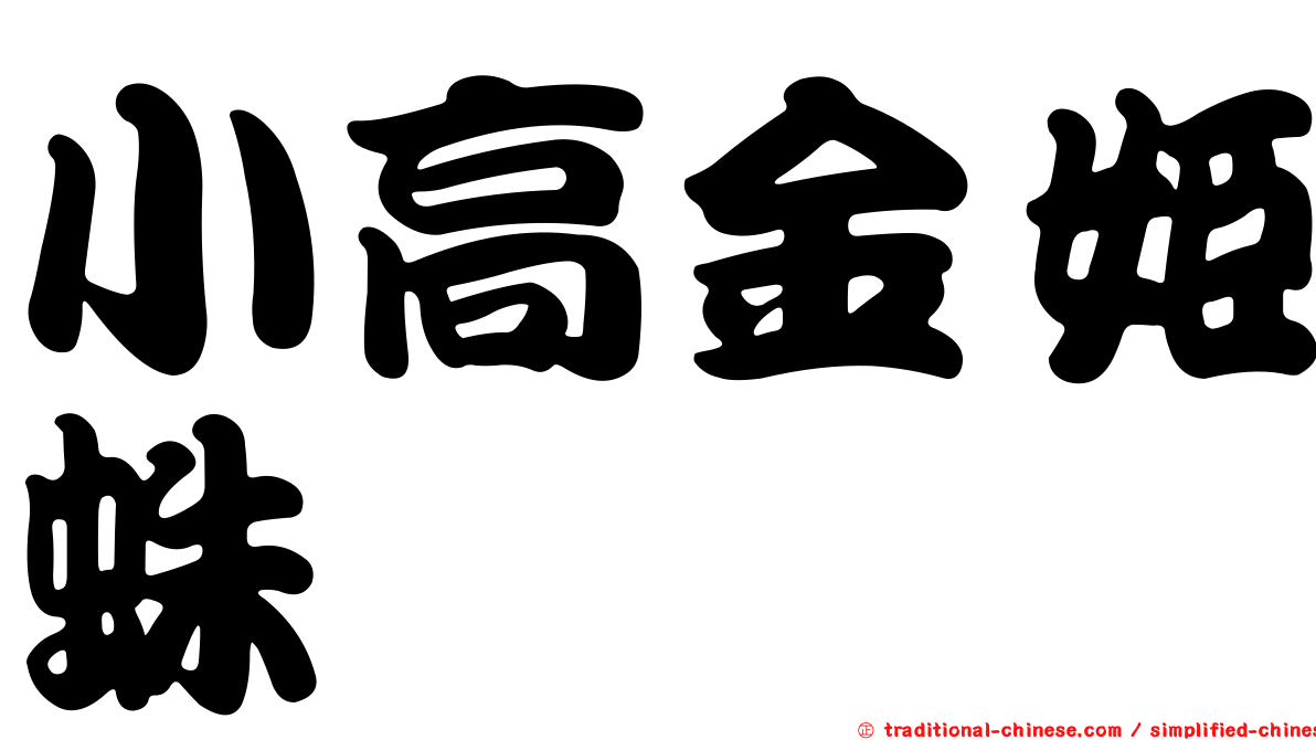 小高金姬蛛