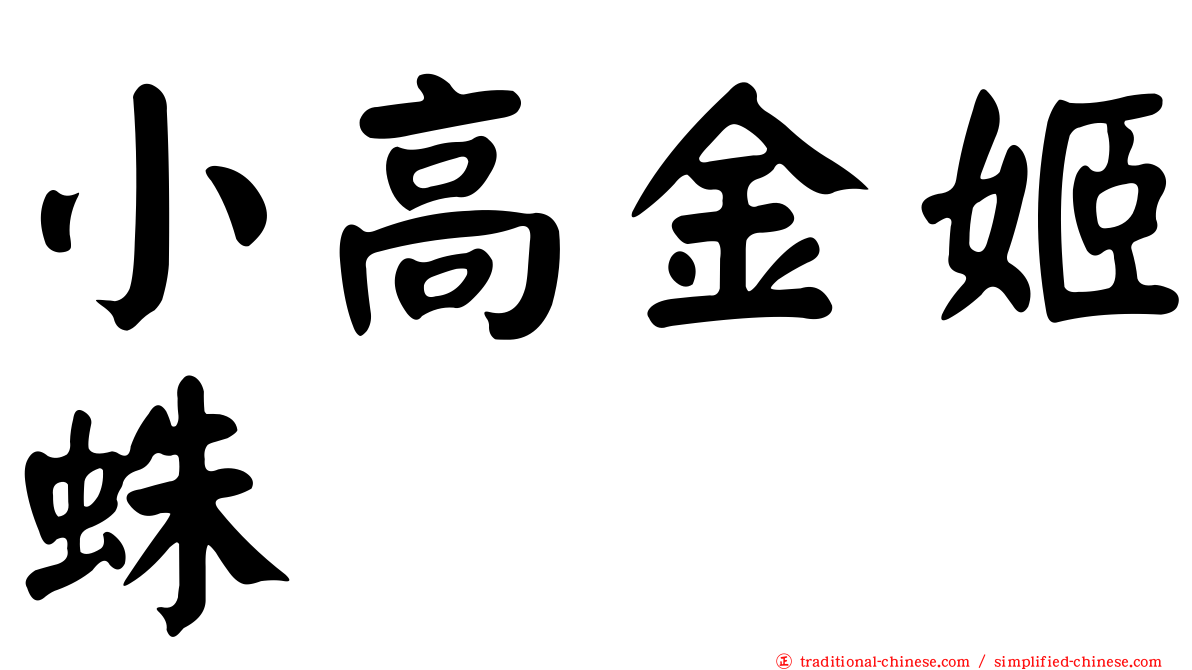 小高金姬蛛