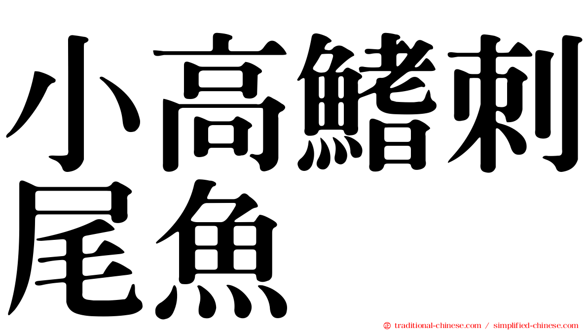 小高鰭刺尾魚