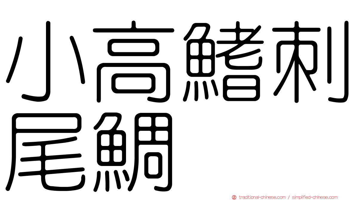小高鰭刺尾鯛