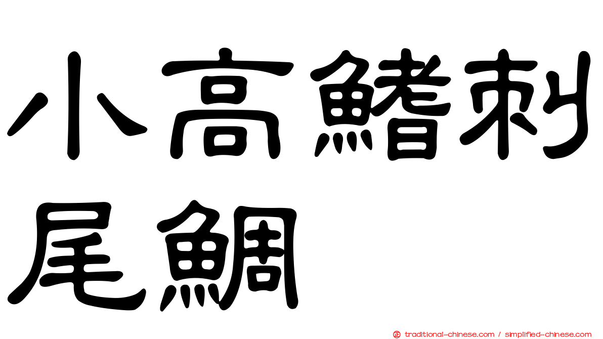 小高鰭刺尾鯛