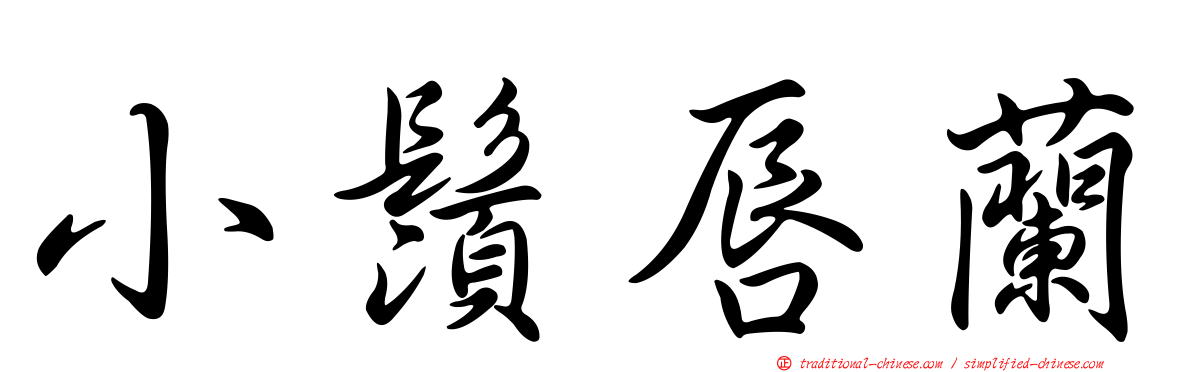 小鬚唇蘭