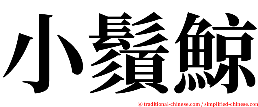 小鬚鯨 serif font