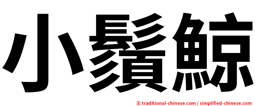 小鬚鯨