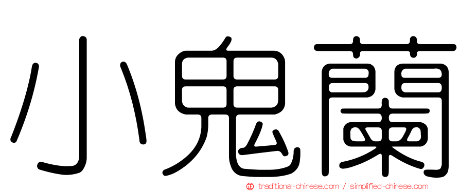 小鬼蘭