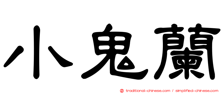 小鬼蘭