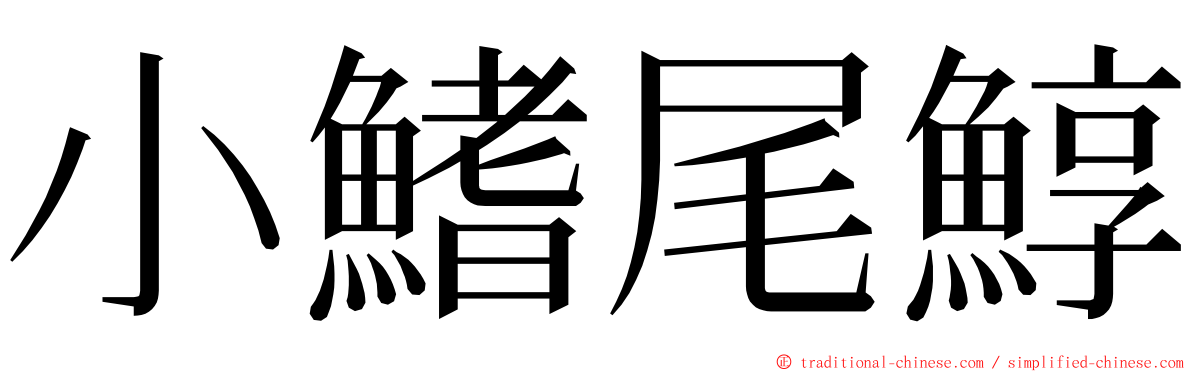 小鰭尾鯙 ming font