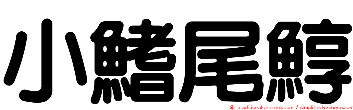 小鰭尾鯙