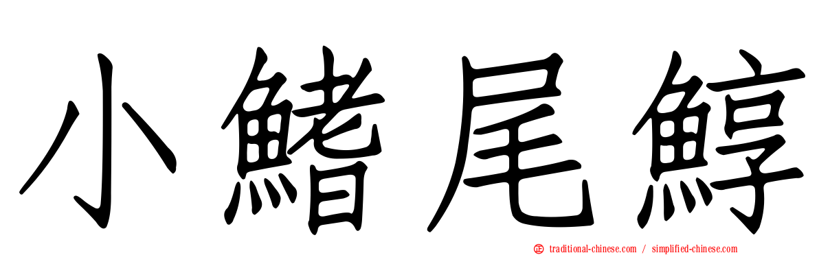 小鰭尾鯙